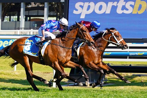 Private Life Makes Statement in Caulfield Guineas