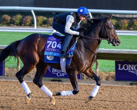 East Avenue trains ahead of the 2024 Breeders' Cup Juvenile at Del Mar