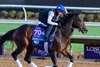 East Avenue
Breeders’ Cup contenders training at Del Mar in Del Mar, California, on Oct. 27, 2024. 