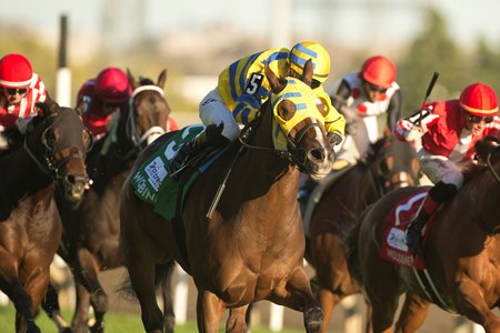 Despite lugging out in the stretch, Patches O'Houlihan wins the Nearctic Stakes at Woodbine