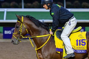 Colvin Named CEO of 1/ST CONTENT - BloodHorse