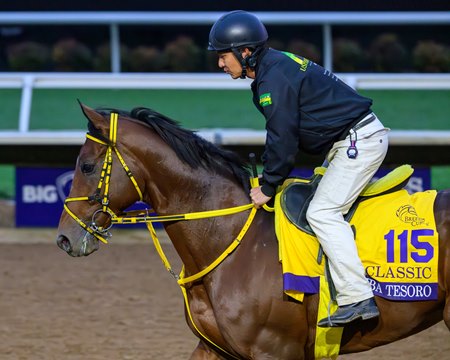 Ushba Tesoro training at Del Mar for the Breeders' Cup Classic