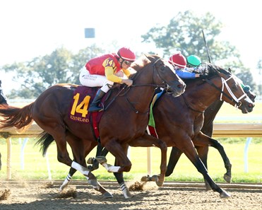 Brunacini - Horse Profile - BloodHorse