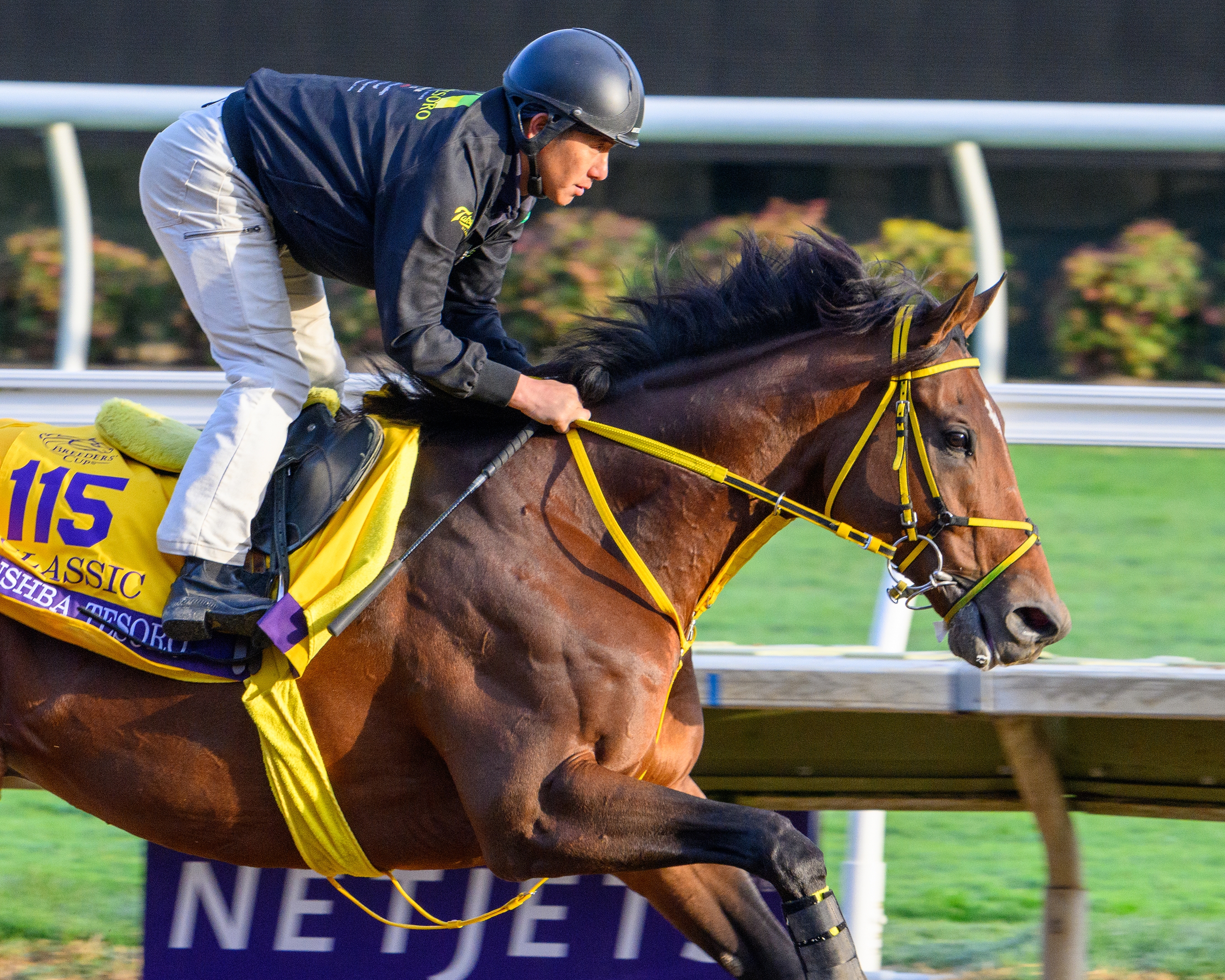 Meet the Field for the 2024 Breeders' Cup Classic - Slideshow
