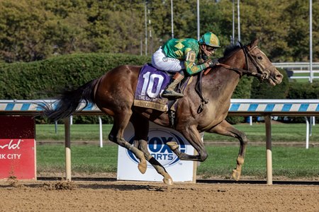 Chancer McPatrick wins the Champagne Stakes at Aqueduct Racetrack