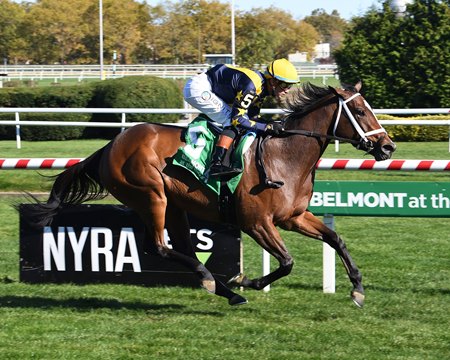 Ellen Jay wins the Glen Cove Stakes at Aqueduct Racetrack