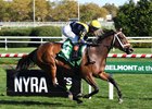 Ellen Jay wins the 2024 Glen Cove Stakes at Aqueduct Racetrack