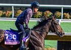 American Bikini trains at Del Mar