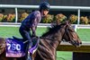 American Bikini
Breeders’ Cup contenders training at Del Mar in Del Mar, California, on Oct. 26, 2024. 