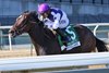 Scottish Lassie wins the 2024 Frizette Stakes at Aqueduct Racetrack