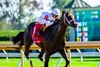 Federal Judge with Flavien Prat wins the Stoll Keenon Ogden Phoenix (G2) at Keeneland in Lexington, Ky. on October 4, 2024
