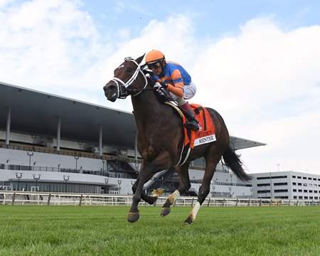 Mentee, a full brother to Fierceness, wins the Futurity Stakes at Aqueduct Racetrack