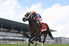 Mentee wins the 2024 Futurity Stakes at Aqueduct Racetrack