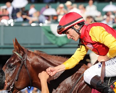 Brunacini - Horse Profile - BloodHorse