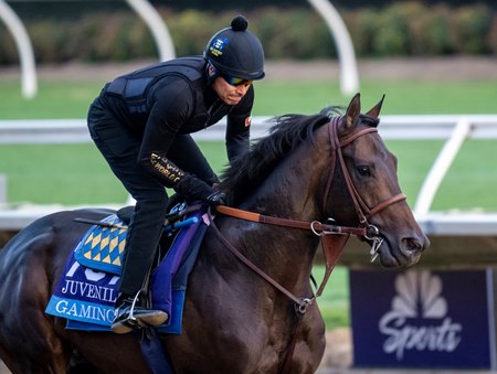 Gaming trains in 2024 at Del Mar