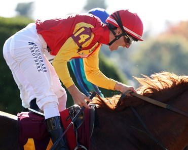 Brunacini - Horse Profile - BloodHorse
