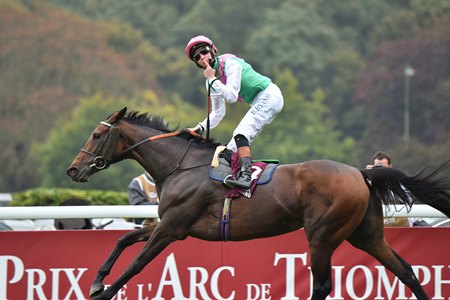 Bluestocking wins the Prix de l'Arc de Triomphe at Longchamp