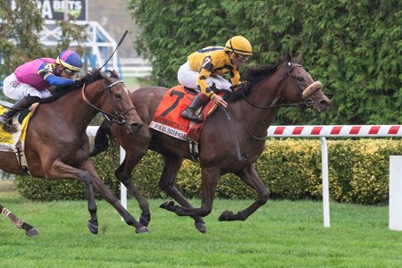 Far Bridge wins the 2024 Joe Hirsch Turf Classic at Aqueduct Racetrack