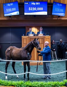 The Cyberknife filly consigned as Hip 301 in the ring at the F-T Saratoga Fall Mixed Sale