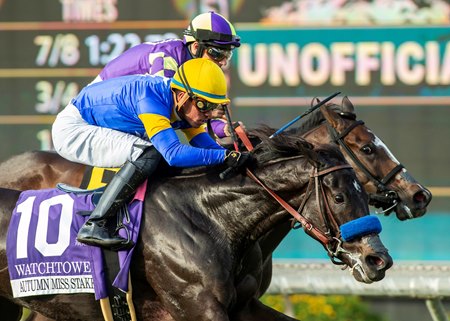 Watchtower edges out Medoro to win the Autumn Miss Stakes at Santa Anita Park