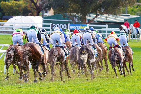 Racing at Caulfield Racecourse