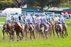 Duke de Sessa wins the 2024 Caulfield Cup at Caulfield Racecourse
ridden by Harry Coffey and trained by Ciaron Maher