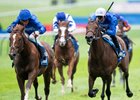 Shadow of Light (William Buick,left) beats Ancient Truth in The Dewhurst
Newmarket 12.10.24 Pic: Edward Whitaker
