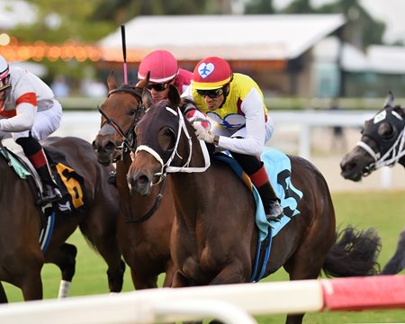 Special Aviator wins the Our Dear Peggy Stakes at Gulfstream Park