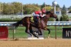 Keewaydin, Maiden Win, Aqueduct Racetrack, October 12 2024