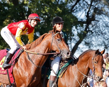 Brunacini - Horse Profile - BloodHorse