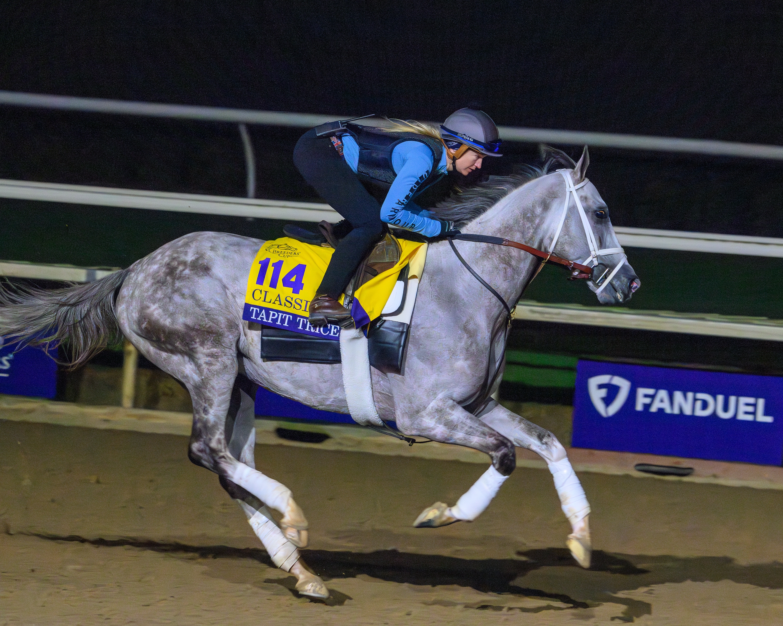 Meet the Field for the 2024 Breeders' Cup Classic - Slideshow