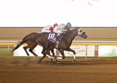 Elegant Echo wins the Oklahoma Classics Lassie Stakes at Remington Park