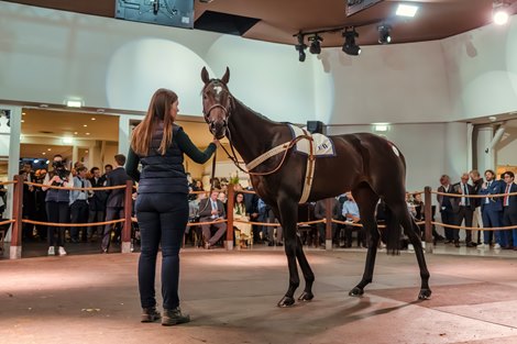 Prix Daniel Wildenstein Winner Tops Arc Sale