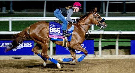 Thought Process trains ahead of the 2024 Breeders' Cup at Del Mar