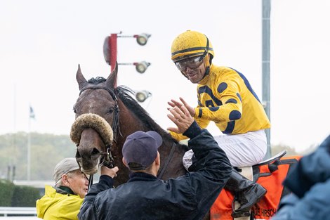 Far Bridge Battles Foreign Dominance in BC Turf