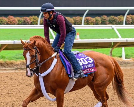 Arzak trains last fall at Del Mar