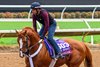 Arzak
Breeders’ Cup contenders training at Del Mar in Del Mar, California, on Oct. 28, 2024. 