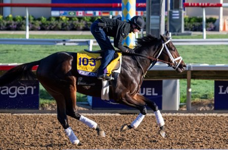 Fierceness trains for the Breeders' Cup Classic at Del Mar