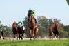 She Feels Pretty and John Velazquez win the G1 QEII, at Keeneland Racecourse, Lexington, KY, 10-12-24, Javier Molina