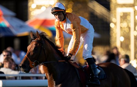 Jayarebe after his victory in the Prix Dollar