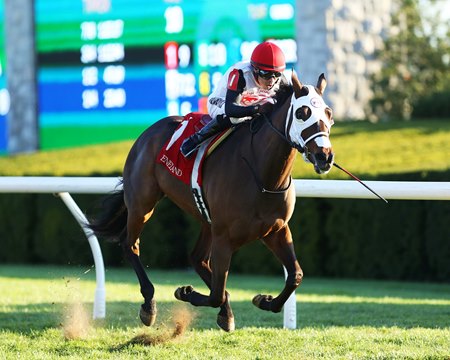 Devil's Harvest wins a 2024 allowance race at Keeneland