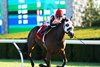 Devil&#39;s Harvest, ALW, Keeneland, October 18 2024