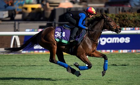 Frankie Dettori takes Emily Upjohn for a spin around the turf course at Del Mar