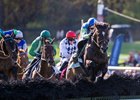 Snap Decision with jockey Graham Watters aboard leads the field over the last fence and on to the win in the American Grand National G1 at the 103rd Far Hills Race Meeting at Far Hills Race Course in Far Hills, New Jersey 
Saturday Oct. 19, 2024.  Photo by Skip Dickstein