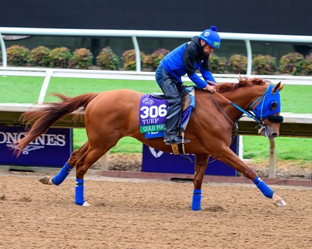 Breeders' Cup Turf contender Gold Phoenix trains Oct. 28 at Del Mar