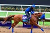 Gold Phoenix
Breeders’ Cup contenders training at Del Mar in Del Mar, California, on Oct. 28, 2024. 