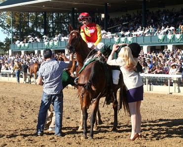 Brunacini - Horse Profile - BloodHorse