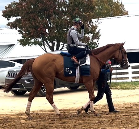 Carl Spackler after his Oct. 26 breeze at Keeneland