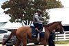 Carl Spackler at Keeneland