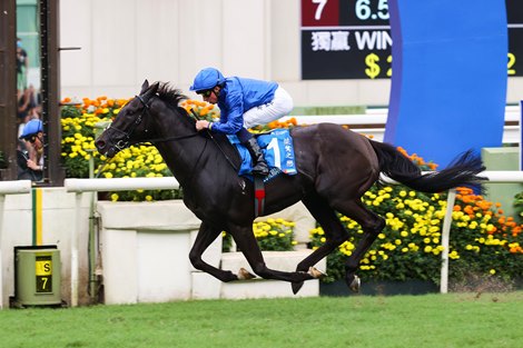 Meet This Year’s International Breeders’ Cup Runners